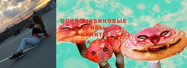 ПСИЛОЦИБИНОВЫЕ ГРИБЫ Абинск