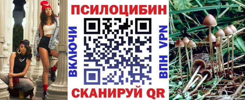 hydra ссылка Смоленск Псилоцибиновые грибы Psilocybe